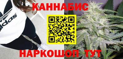 шишки Дубна