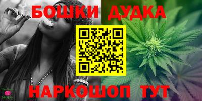 шишки Дубна