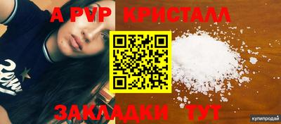 шишки Дубна
