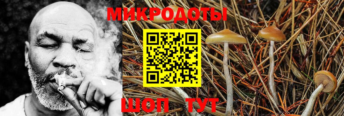 Щёлково  Галлюциногенные грибы прущие грибы  где найти   Вход с VPN 